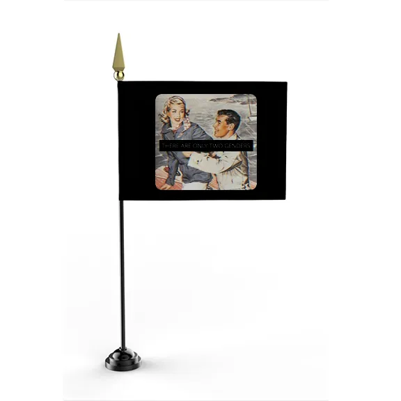 There is Only 2 Genders - Flag • Mini